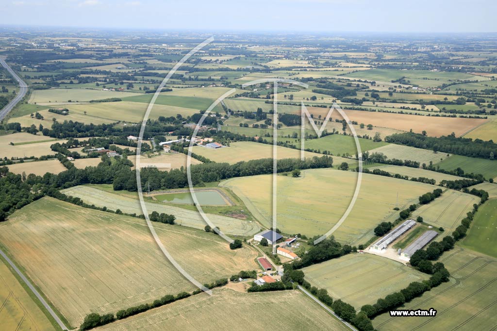 Photo arienne de Saint-Martin-des-Noyers (le Bois Boudaud)