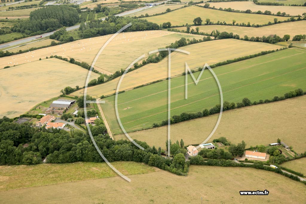 Photo arienne de Cholet (la Pilotire)