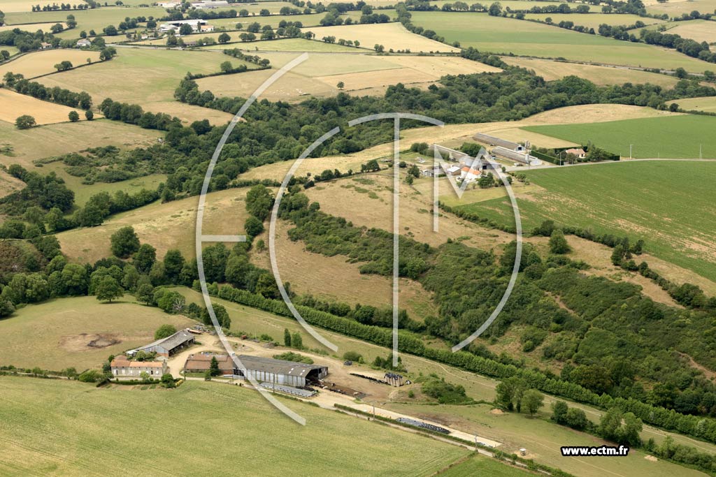Photo arienne de Toutlemonde (le Grand Pin)