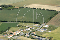 85210 Sainte-Hermine - photo - Sainte-Hermine (les Plantes)