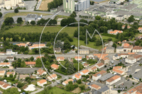 Photos de L'Oie