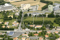 Photos de L'Oie