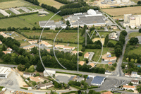 Photos de L'Oie