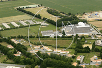 Photos de L'Oie
