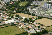 Photos de L'Oie