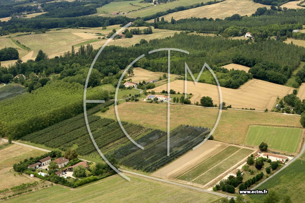 Photo arienne de Villeneuve-sur-Lot (Guillot)