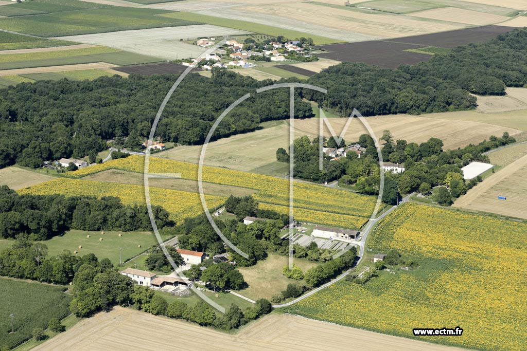 Photo arienne de Arces (Chassagne Petit)