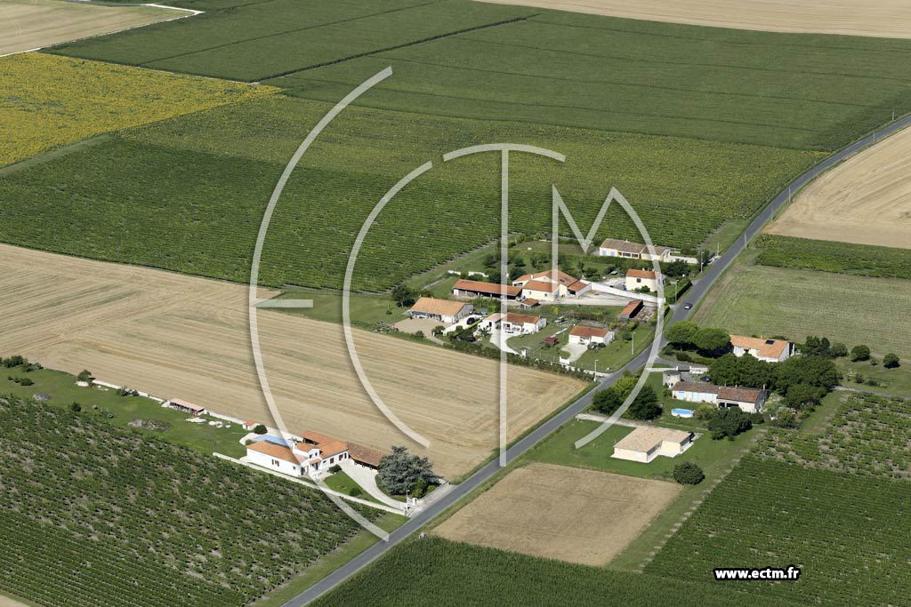 Photo arienne de Arces (le Moulin de Brzillas)