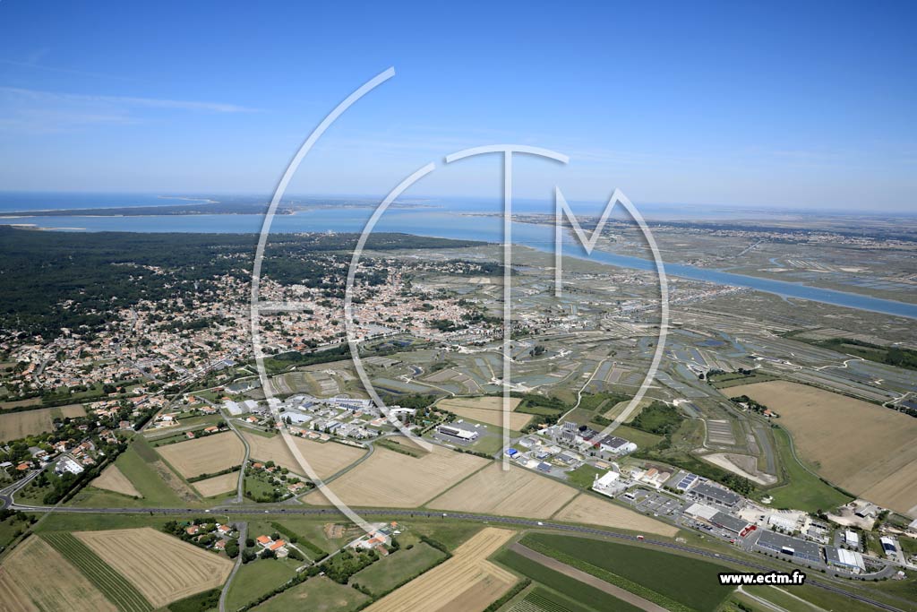 Photo arienne de La Tremblade