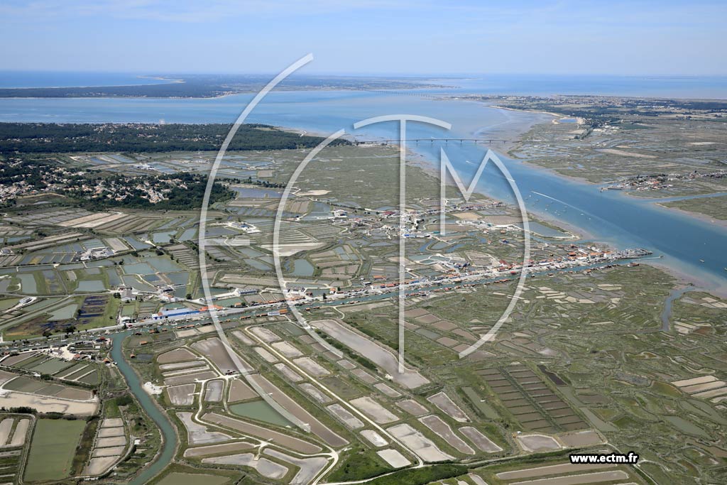 Photo arienne de La Tremblade (la Grve - la Route Neuve)
