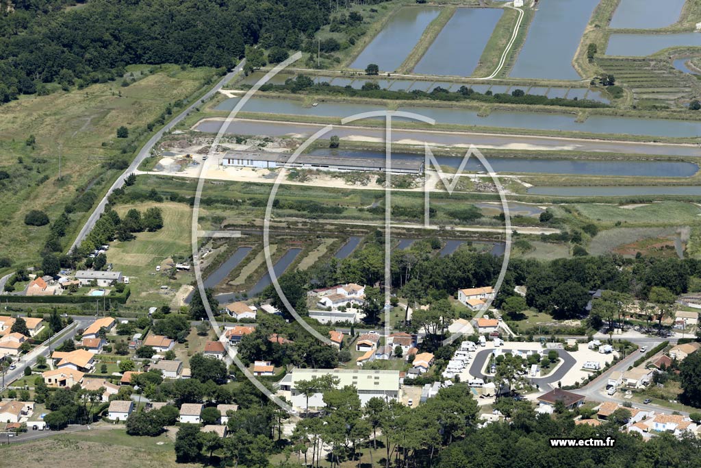Photo arienne de La Tremblade (la Piane)
