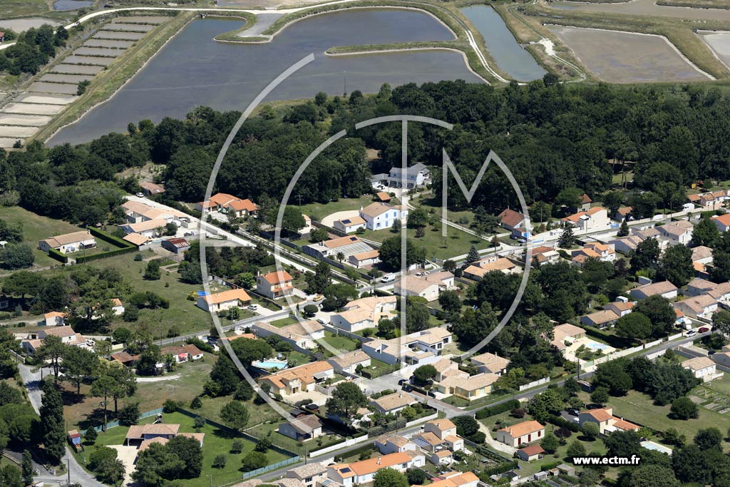 Photo arienne de La Tremblade (le Moulin de Braux - Guillou)