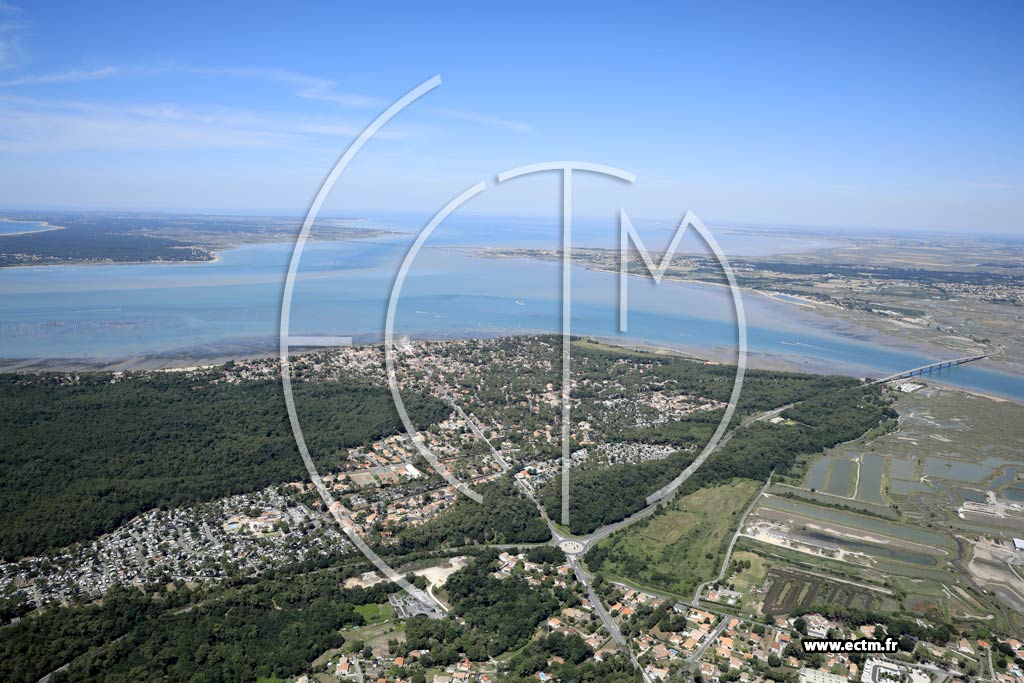 Photo arienne de La Tremblade (les Brandes - Ronce-les-Bains)