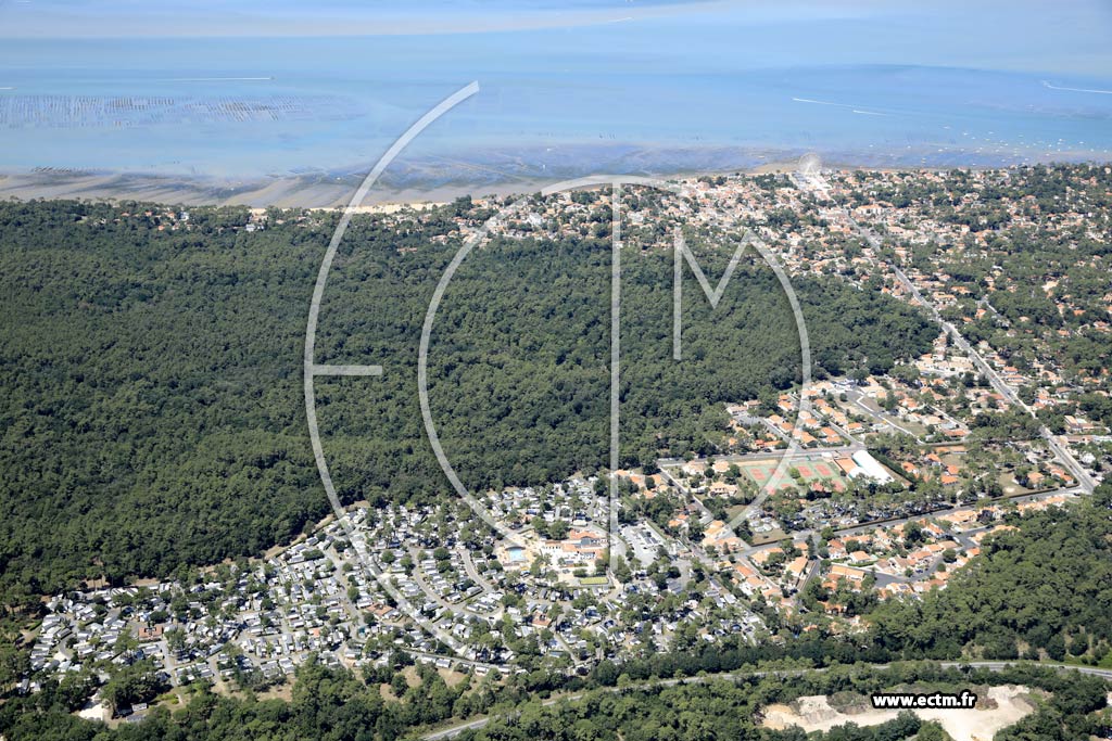 Photo arienne de La Tremblade (les Brandes - Ronce-les-Bains)