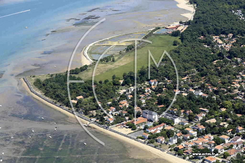 Photo arienne de La Tremblade (Ronce-les-Bains)