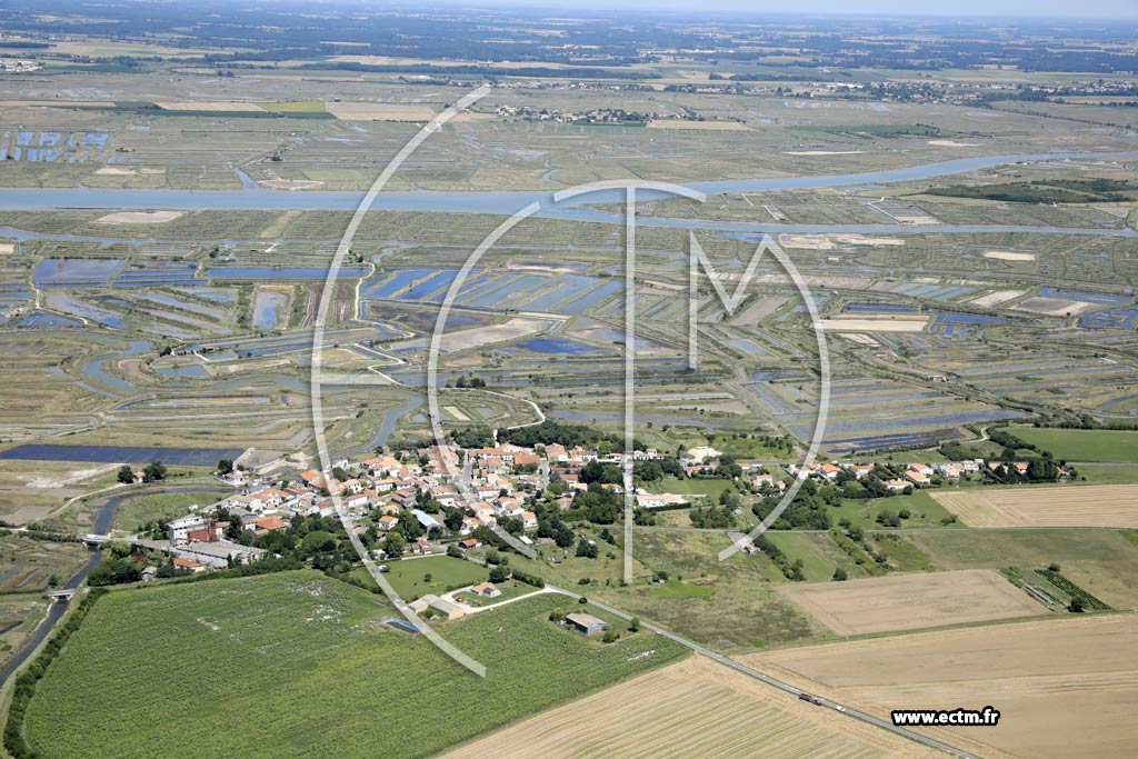 Photo arienne de Mornac-sur-Seudre (Plordonnier)