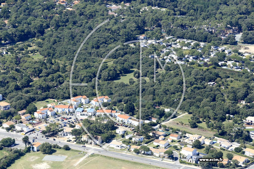 Photo arienne de Saint-Palais-sur-Mer (Puits de l'Auture)
