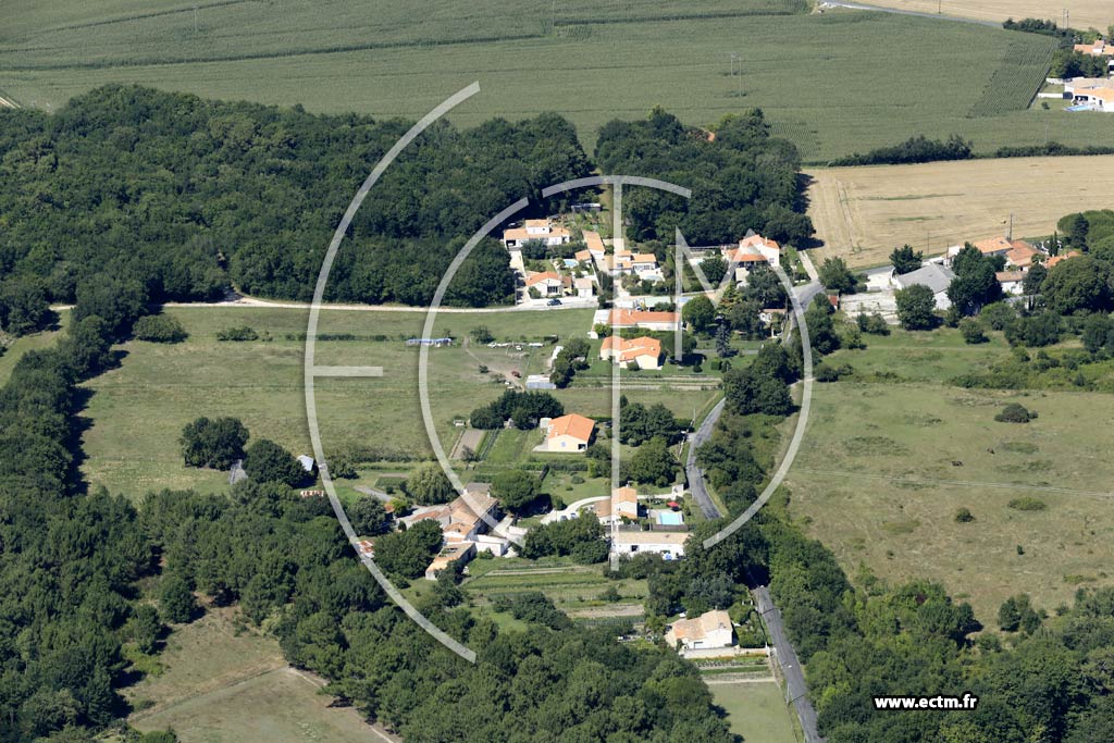 Photo arienne de Saint-Sulpice-de-Royan (Chez Boisseau)