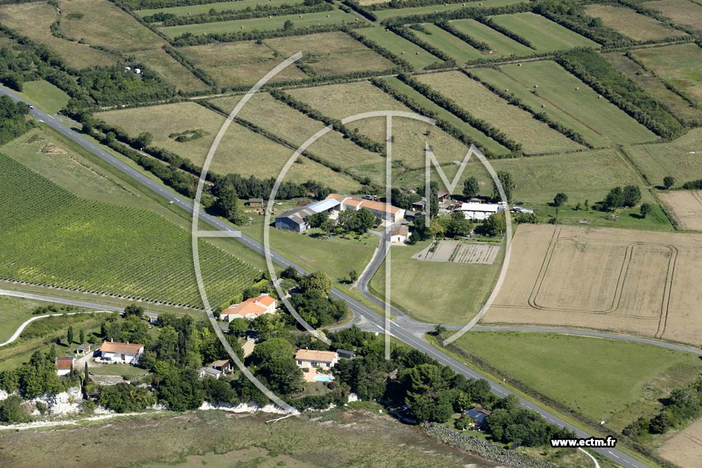 Photo arienne de Talmont-sur-Gironde