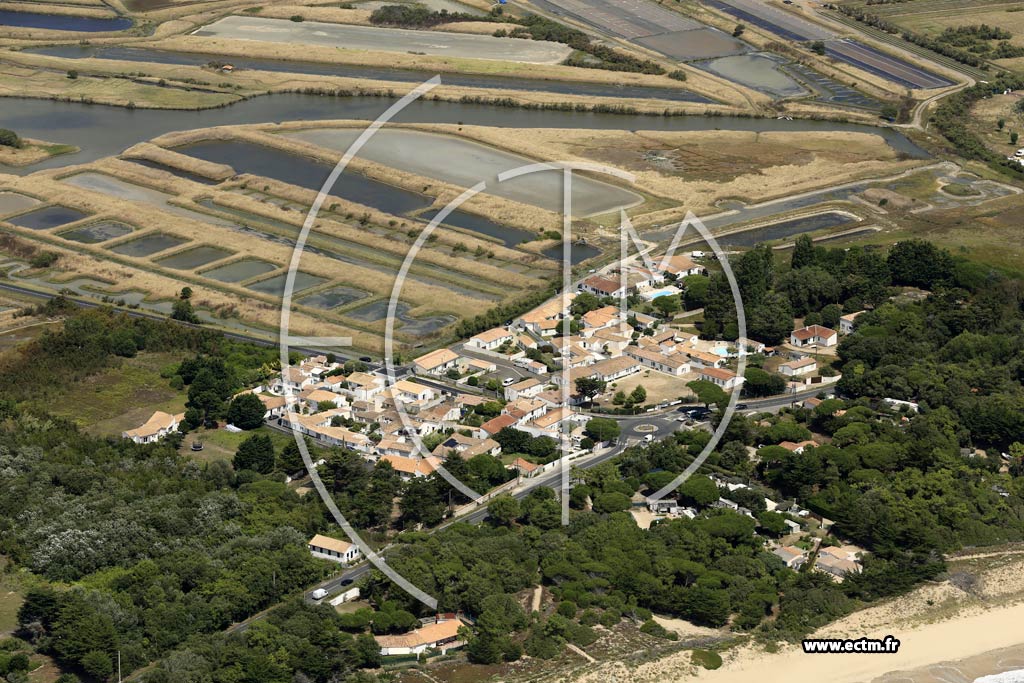 Photo arienne de La Couarde-sur-Mer (la Passe)