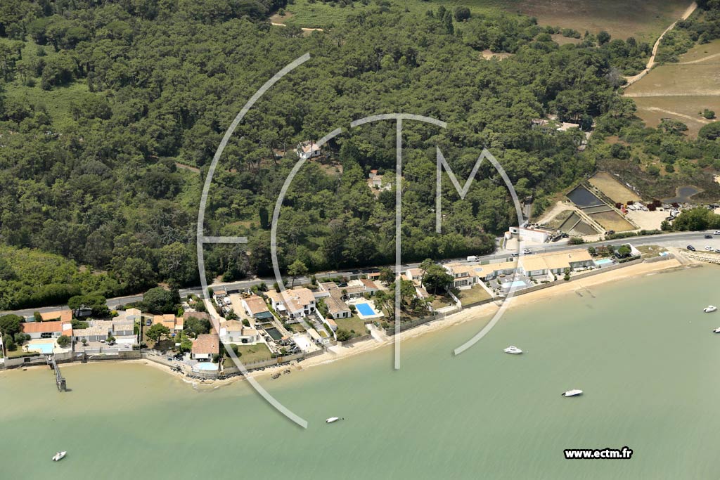 Photo arienne de La Flotte (Route du Fort de la Pre)