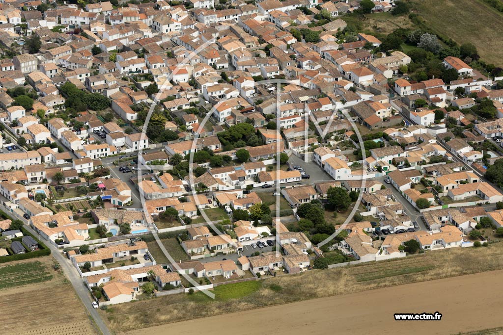 Photo arienne de Saint-Clment-des-Baleines (le Gillieux)