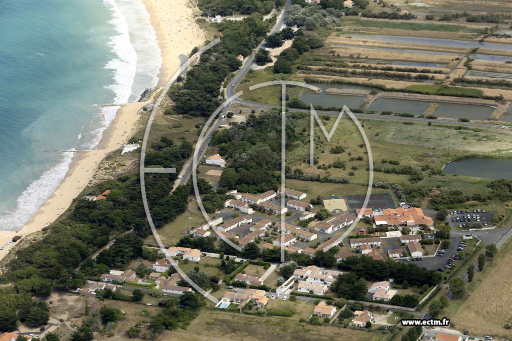 Photo arienne de Saint-Clment-des-Baleines (le Gillieux)