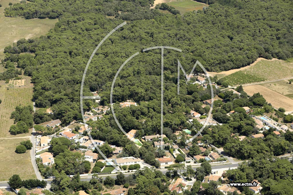Photo arienne de Sainte-Marie-de-R (les Ensemberts)