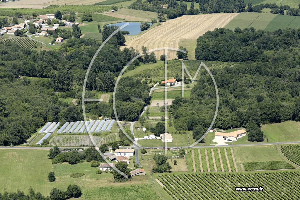Photo arienne de Montchaude (Chez Gonin)