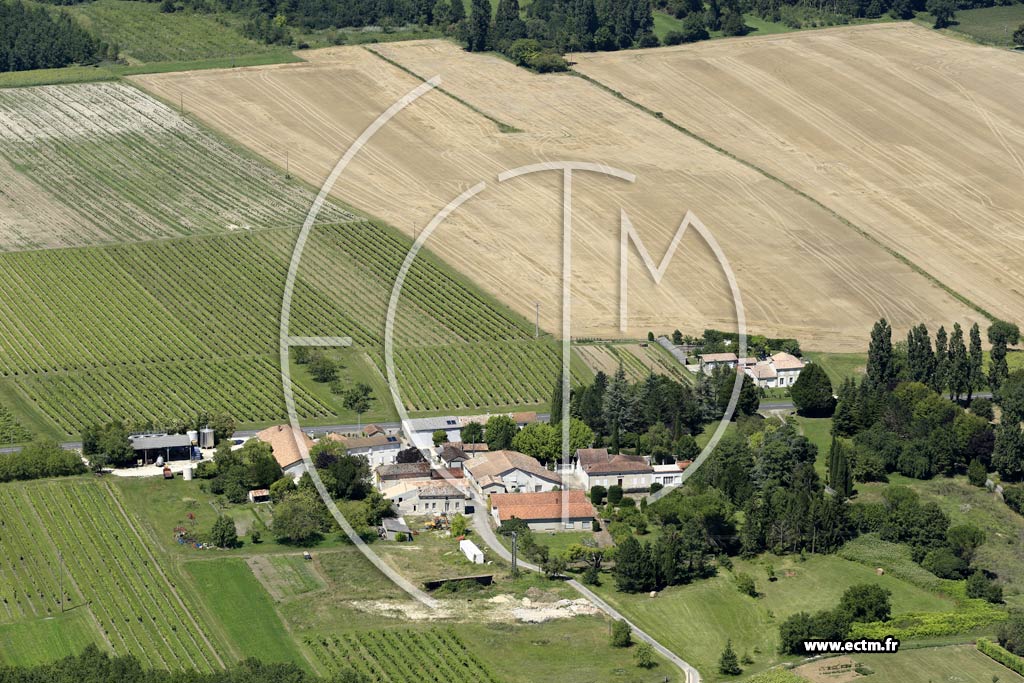 Photo arienne de Montchaude (les Fonteneaux)