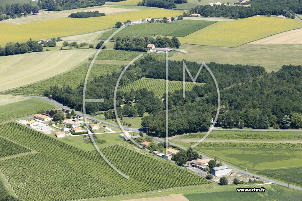 Photo arienne de Salles-de-Barbezieux (Bois du Luc)