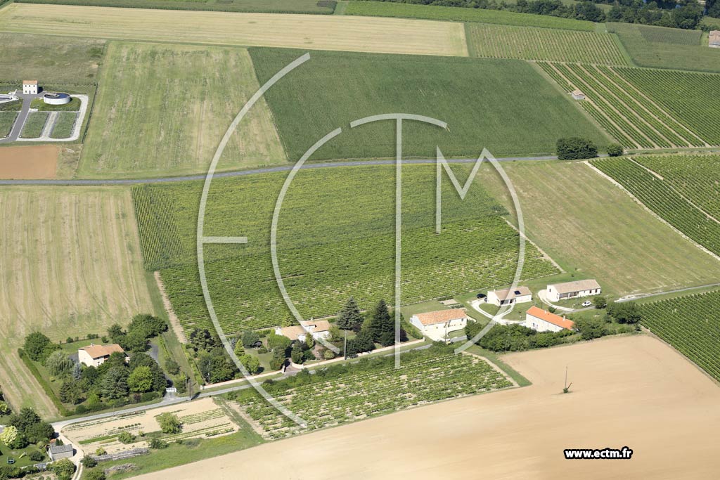 Photo arienne de Chteauneuf-sur-Charente (Chassors)
