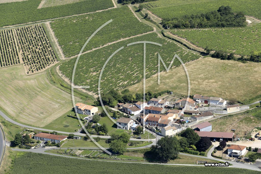 Photo arienne de Chteauneuf-sur-Charente (Chez Girard)