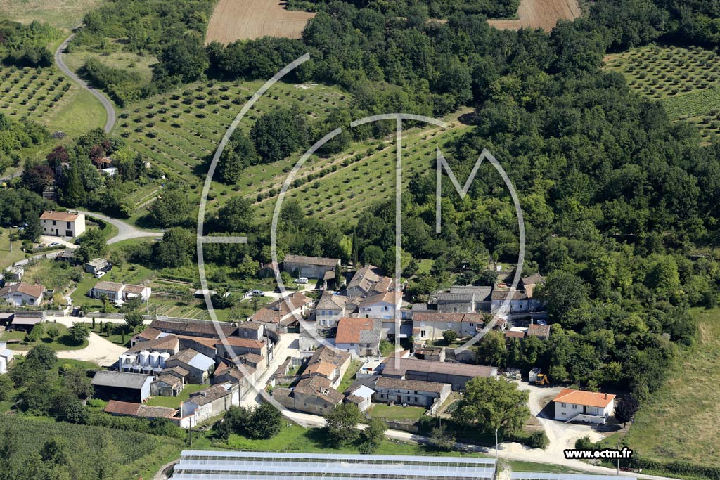 Photo arienne de Chteauneuf-sur-Charente (Chez Merlet)