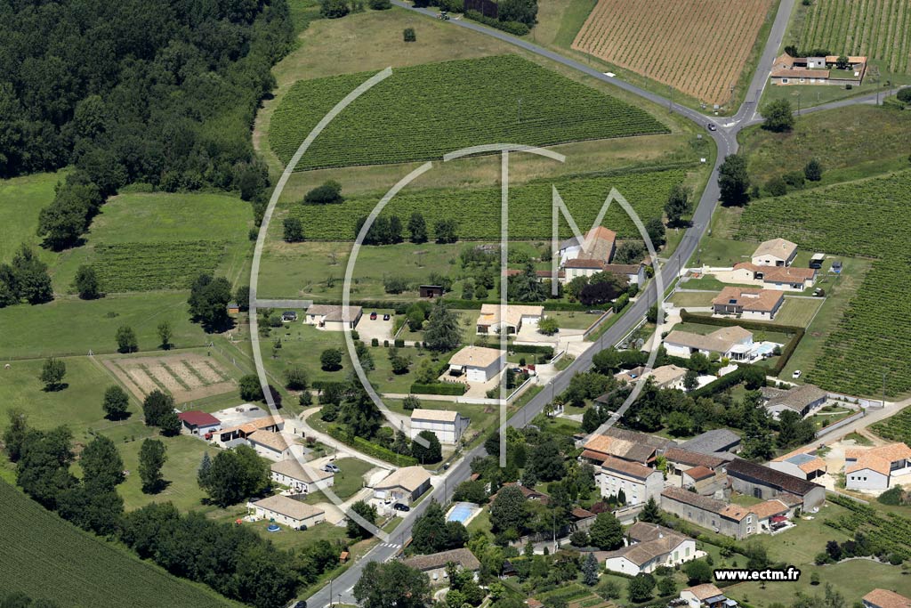 Photo arienne de Chteauneuf-sur-Charente (Chez Ptillon)