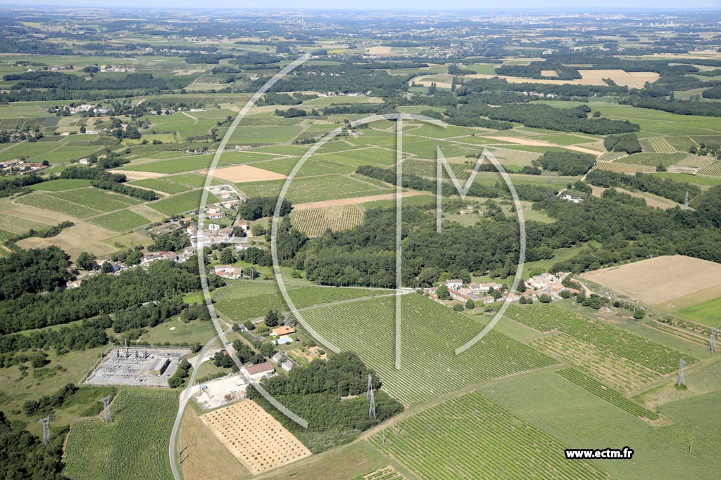 Photo arienne de Chteauneuf-sur-Charente (le Grand Bois Durand)