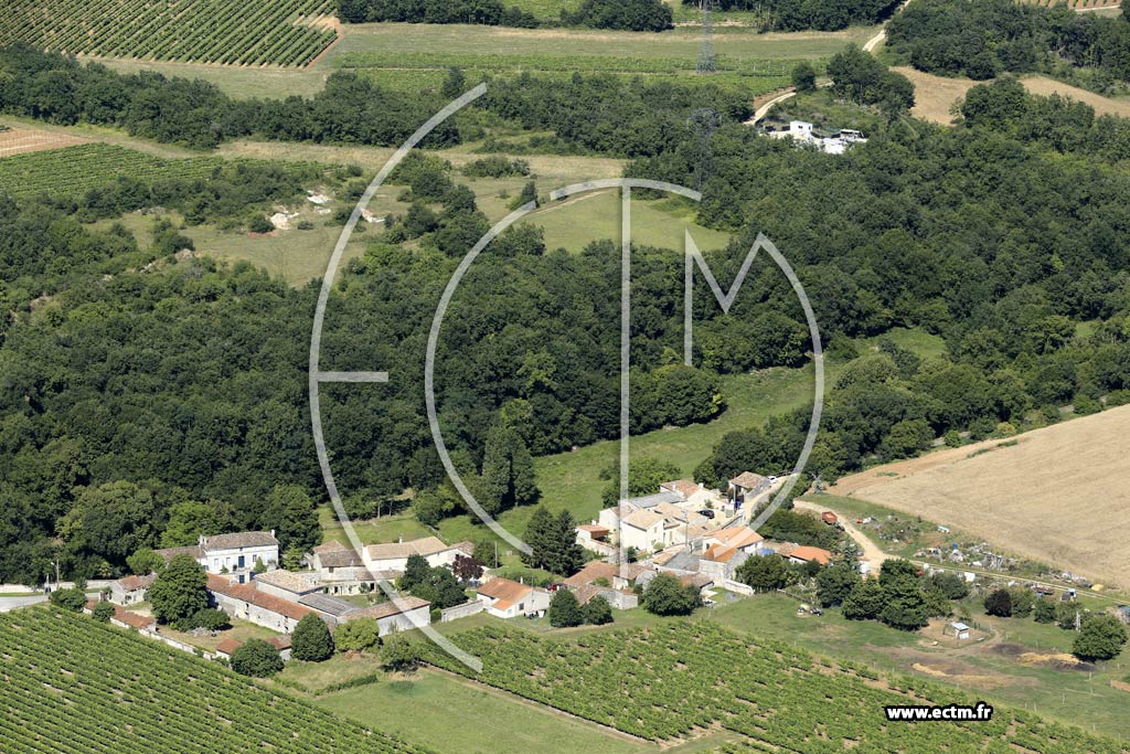 Photo arienne de Chteauneuf-sur-Charente (le Grand Bois Durand)