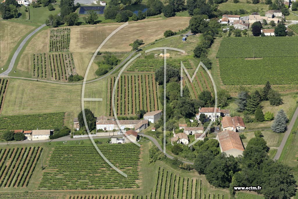 Photo arienne de Chteauneuf-sur-Charente (le Maine Barraud)