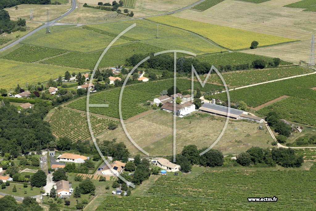 Photo arienne de Chteauneuf-sur-Charente (Malakoff - le Grand Bourgloux)