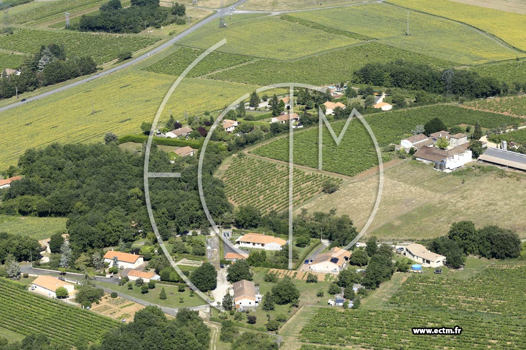 Photo arienne de Chteauneuf-sur-Charente (Malakoff - le Grand Bourgloux)