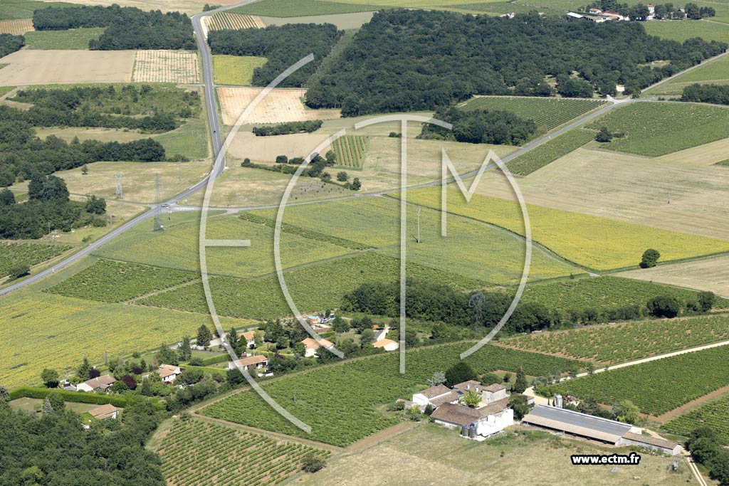 Photo arienne de Chteauneuf-sur-Charente (Malakoff)