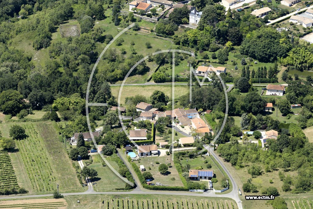 Photo arienne de Chteauneuf-sur-Charente (Pellegeais)