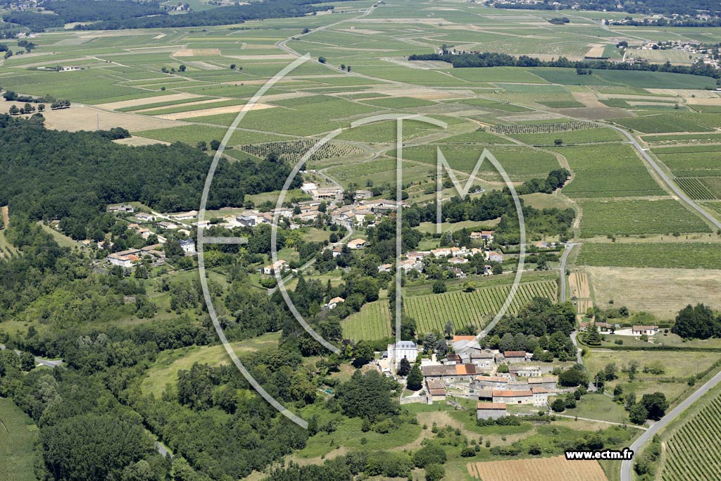 Photo arienne de Chteauneuf-sur-Charente (Pellegeais)