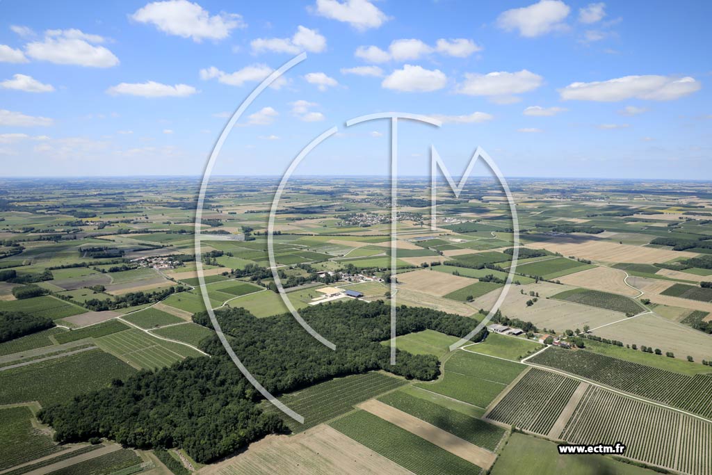 Photo arienne de Macqueville (la Touche Ronde - la Vioche)