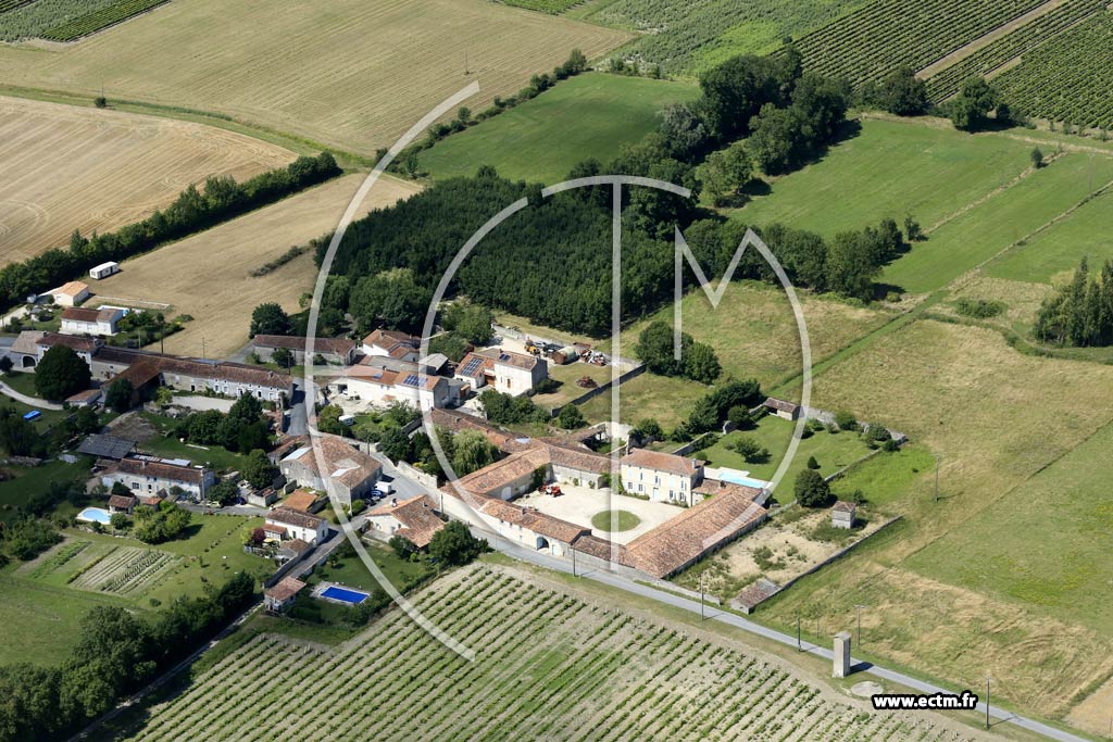 Photo arienne de Macqueville (Virolet)