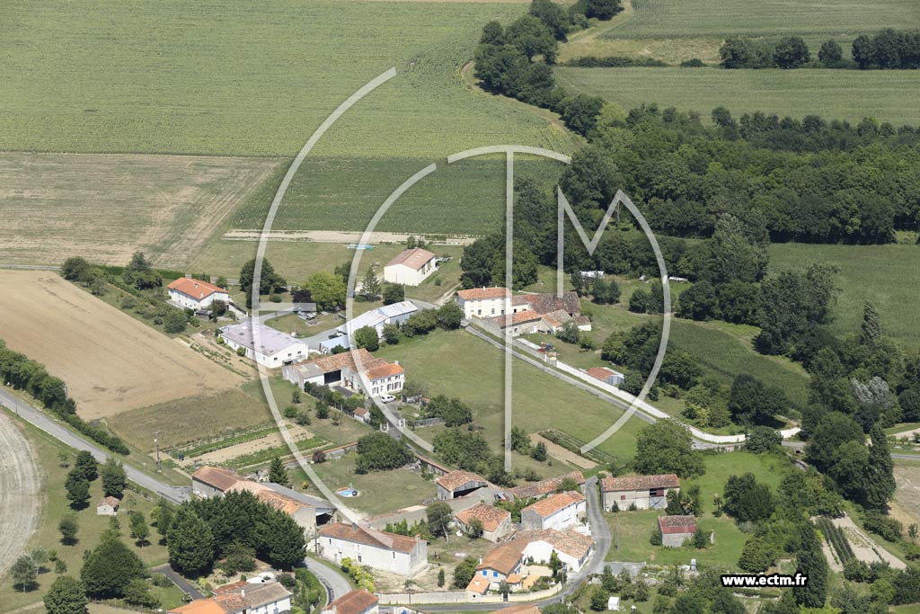 Photo arienne de Saint-Loup