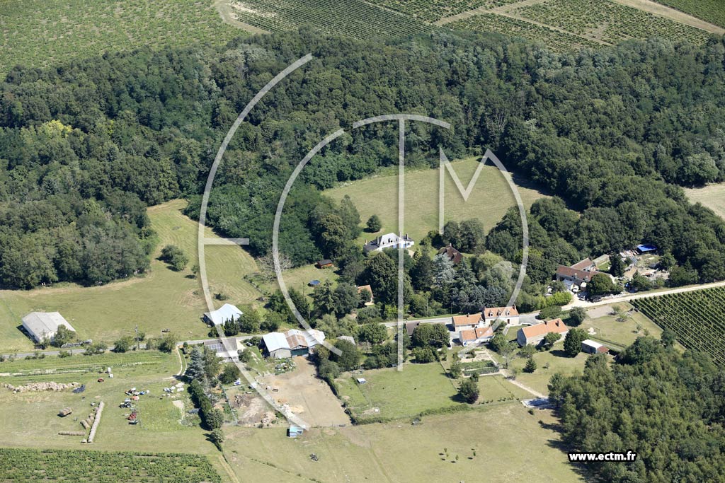 Photo arienne de Saint-Georges-sur-Cher (Est)