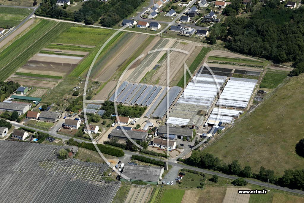 Photo arienne de Saint-Martin-le-Beau (le Gros Buisson)