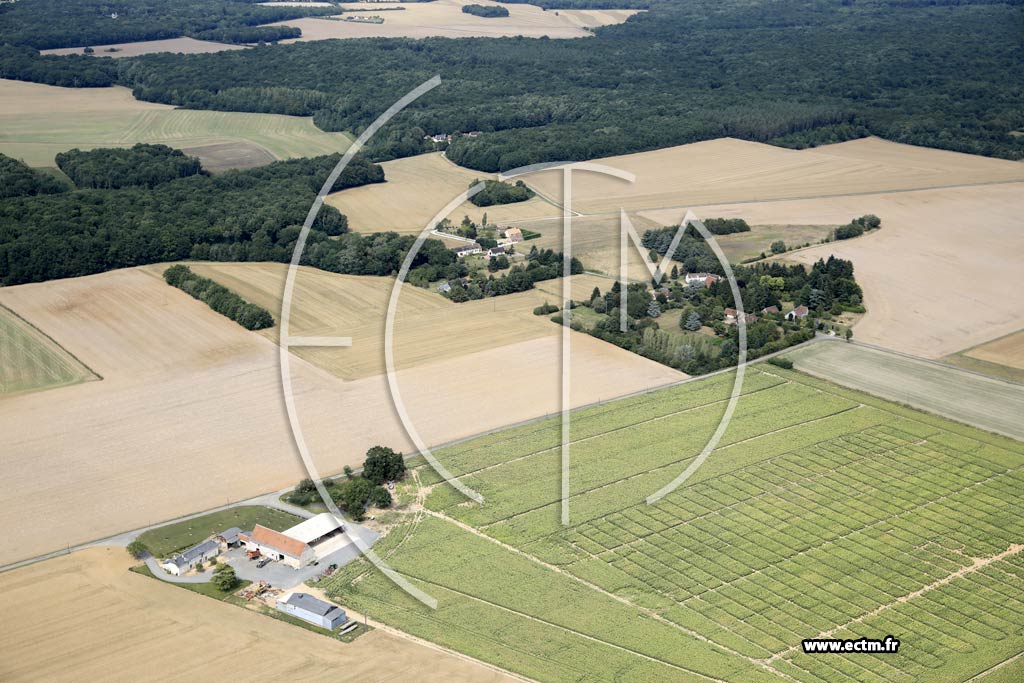 Photo arienne de Saint-Ouen-les-Vignes (la Haute Renauderie - Beaubuf)
