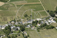 37210 Noizay - photo - Noizay (Est)